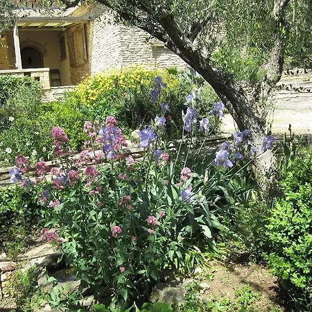 Le Murmure Des Oliviers Villa *