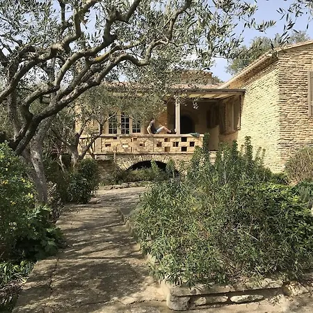 Le Murmure Des Oliviers *